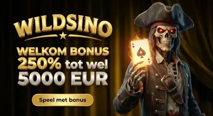 Wildsino Casino